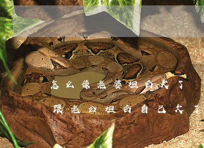 怎么像老婆坦白欠了網(wǎng)貸(怎么跟老公坦白自己欠了網(wǎng)貸)