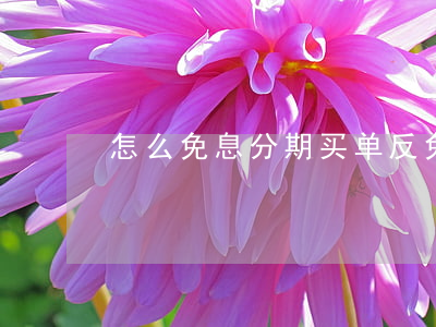怎么免息分期买单反 免息手机怎么买