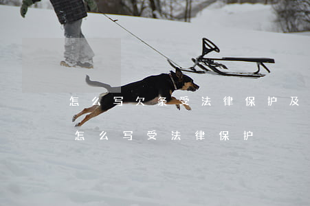 怎么写欠条受法律保护及格式(正规的欠款条怎么写受法律保护)