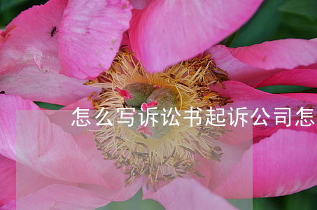 怎么写诉讼书(起诉公司怎么写诉讼书)