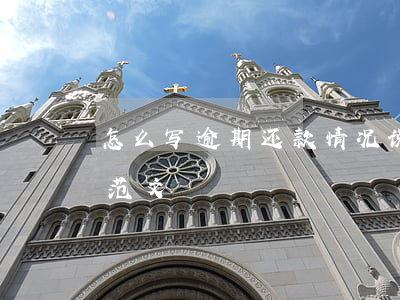 怎么写逾期还款情况说明(房贷逾期情况说明范文)