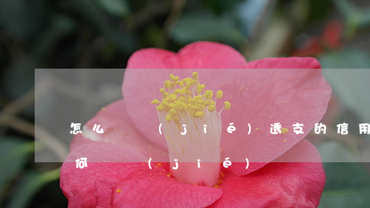 怎么凍結(jié)透支的信用卡(信用卡如何凍結(jié))