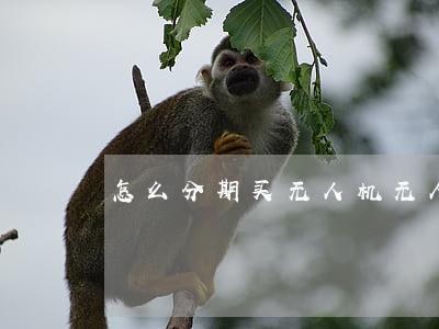 怎么分期买无人机（无人机免息分期教学）