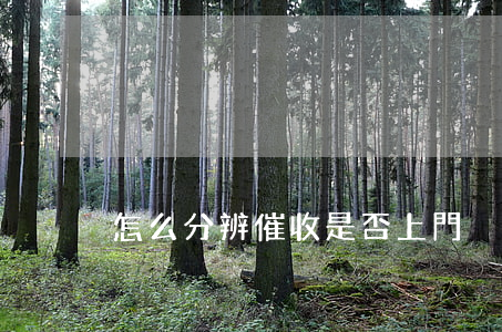 怎么分辨催收是否上門