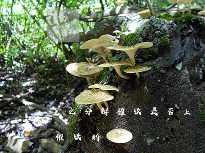 怎么分辨催收是否上門信用卡(信用卡有上門催收的嗎)