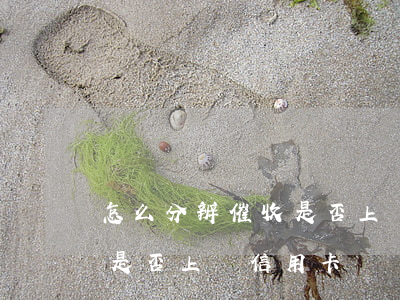 怎么分辨催收是否上門信用卡(怎么分辨催收是否上門信用卡)