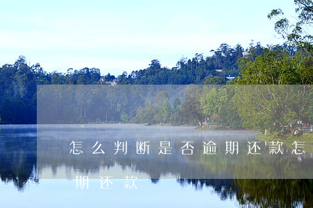 怎么判断是否逾期还款(怎么看自己有没有逾期还款)