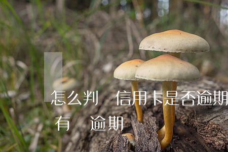 怎么判斷信用卡是否逾期 怎么查信用卡是否有過逾期