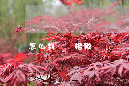 怎么判斷價格欺詐