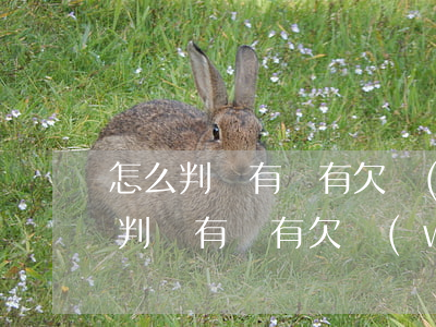 怎么判斷有沒有欠網(wǎng)貸-怎么判斷有沒有欠網(wǎng)貸