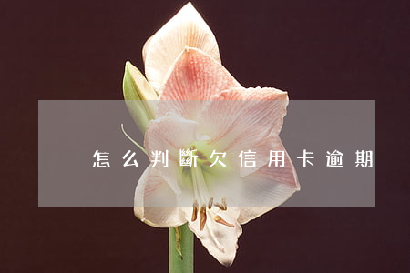 怎么判斷欠信用卡逾期