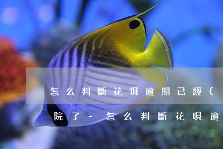 怎么判斷花唄逾期已經(jīng)起訴法院了-怎么判斷花唄逾期已經(jīng)起訴法院了呢