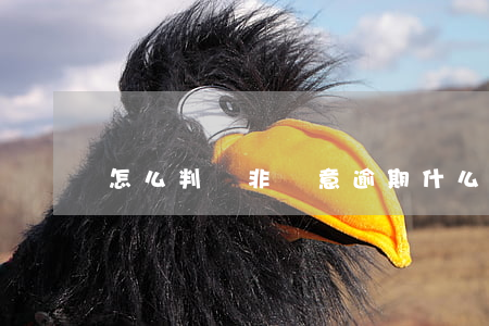 怎么判斷非惡意逾期(什么是非惡意逾期)