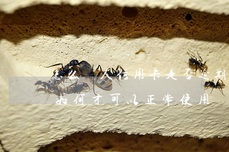 怎么別人信用卡是否逾期 逾期以后的信用卡如何才可以正常使用