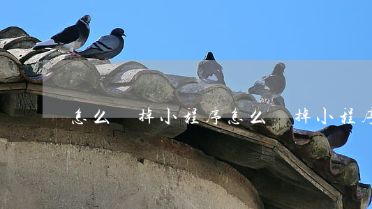 怎么刪掉小程序(怎么刪掉小程序里面的東西)