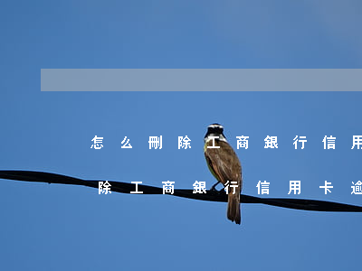 怎么刪除工商銀行信用卡逾期記錄-怎么刪除工商銀行信用卡逾期記錄呢