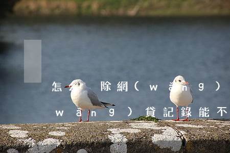 怎么刪除網(wǎng)貸逾期記錄嗎(網(wǎng)貸記錄能不能刪除)