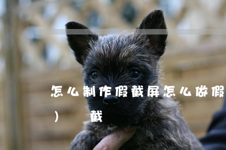 怎么制作假截屏(怎么做假的轉(zhuǎn)賬截圖)
