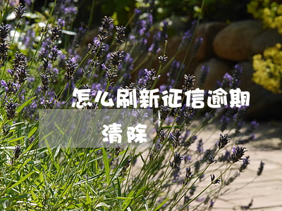 怎么刷新征信逾期記錄(怎么刷新征信逾期記錄清除)