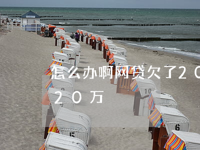 怎么办啊网贷欠了20万(怎么办啊网贷欠了20万)