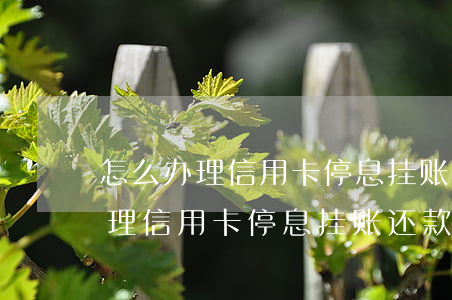 怎么办理信用卡停息挂账还款政策-怎么办理信用卡停息挂账还款政策呢