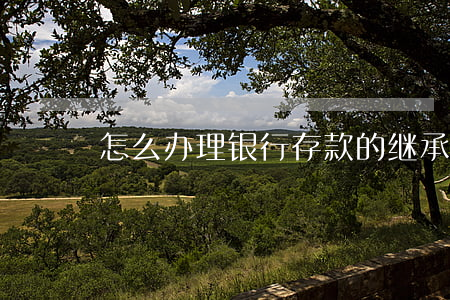 怎么办理银行存款的继承(存款继承相关规定)