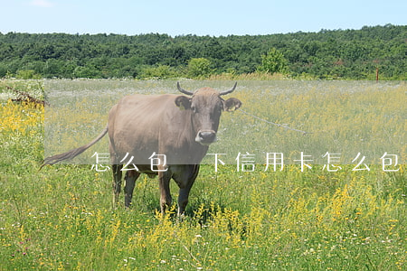 怎么包裝下信用卡(怎么包裝辦理信用卡)