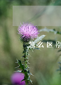 怎么区别协议离婚和起诉离婚