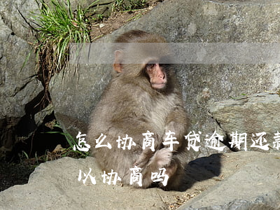 怎么协商车贷逾期还款(车抵押贷款逾期了可以协商吗?)