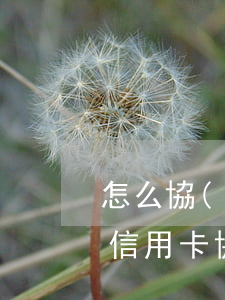 怎么協(xié)商信用卡違約(如何跟銀行信用卡協(xié)商還款)