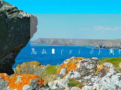 怎么協(xié)商信用卡還款減免 已協(xié)商好的信用卡減免申請(qǐng)書(shū)模板