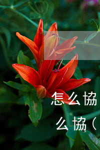 怎么協(xié)商花唄逾期還款日(花唄怎么協(xié)商延期還款)