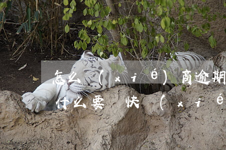 怎么協(xié)商逾期延期還款(逾期后為什么要盡快協(xié)商)