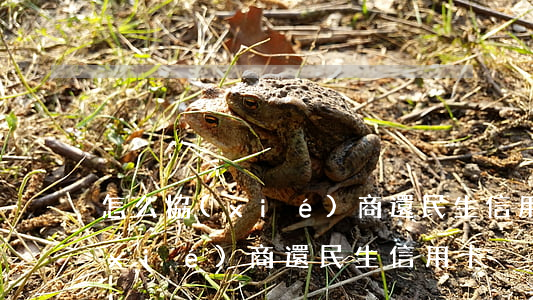 怎么協(xié)商還民生信用卡(怎么協(xié)商還民生信用卡)