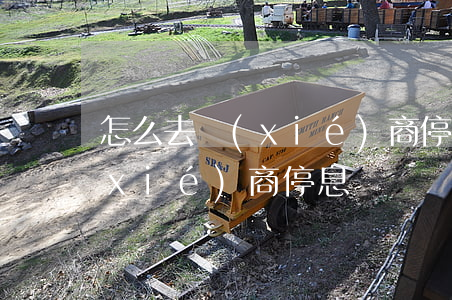 怎么去協(xié)商停息掛賬（怎么去協(xié)商停息掛賬）