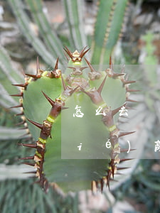 怎么去協(xié)商還款(銀行同意協(xié)商還款怎么走流程)