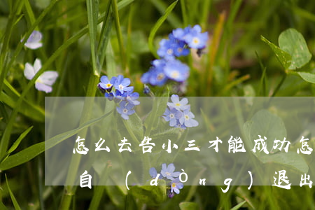 怎么去告小三才能成功(怎樣打敗小三讓小三自動(dòng)退出)
