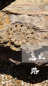 怎么去推销律师事务所(律师事务所有什么套路)