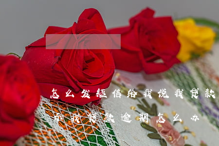 怎么发短信给我说我贷款逾期(总是有短信提示我贷款逾期怎么办)