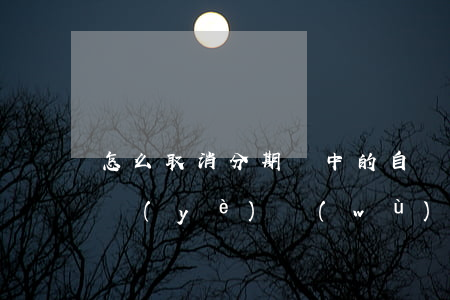 怎么取消分期樂中的自動(dòng)還款業(yè)務(wù)