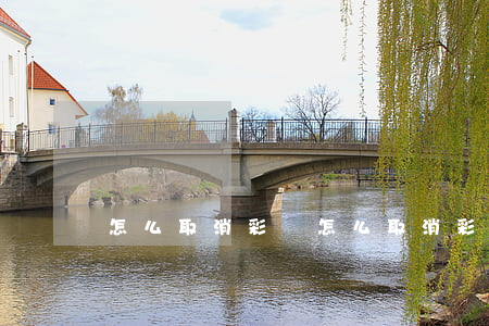 怎么取消彩鈴(怎么取消彩鈴視頻)