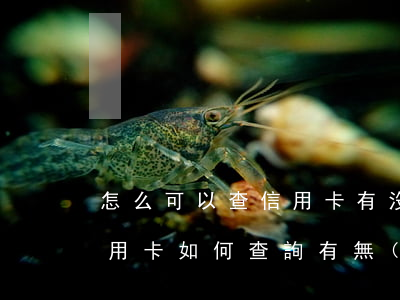 怎么可以查信用卡有沒(méi)有逾期（信用卡如何查詢有無(wú)逾期）
