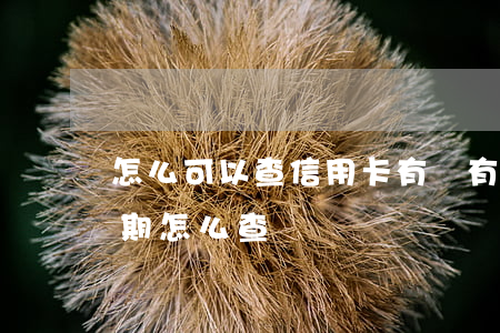 怎么可以查信用卡有沒有逾期（捷信信用卡逾期怎么查）