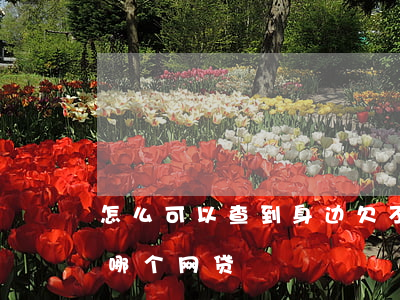 怎么可以查到身边欠不欠网贷(哪里能查出欠哪个网贷)