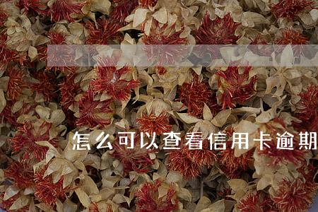 怎么可以查看信用卡逾期解凍進度