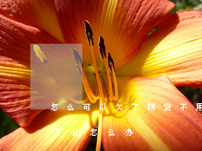 怎么可以欠了网贷不用家人还(别人欠我网贷不还怎么办)