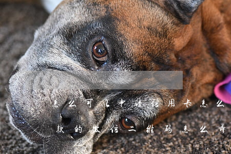 怎么可以申请信用卡 怎么可以申请信用卡付款的微信二维码怎么弄