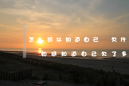 怎么可以知道自己還欠什么網(wǎng)貸(如何知道自己欠了多少網(wǎng)貸)