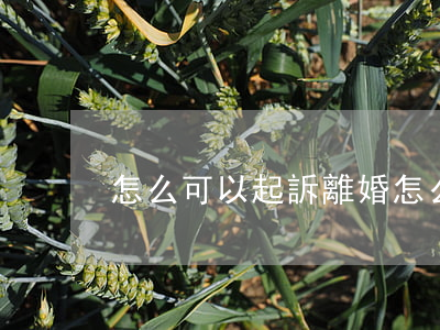 怎么可以起訴離婚(怎么可以起訴離婚證)
