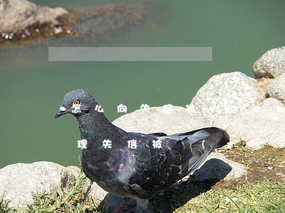 怎么向失信被執(zhí)行人要錢(怎么處理失信被執(zhí)行人)